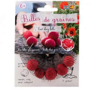 Graine2